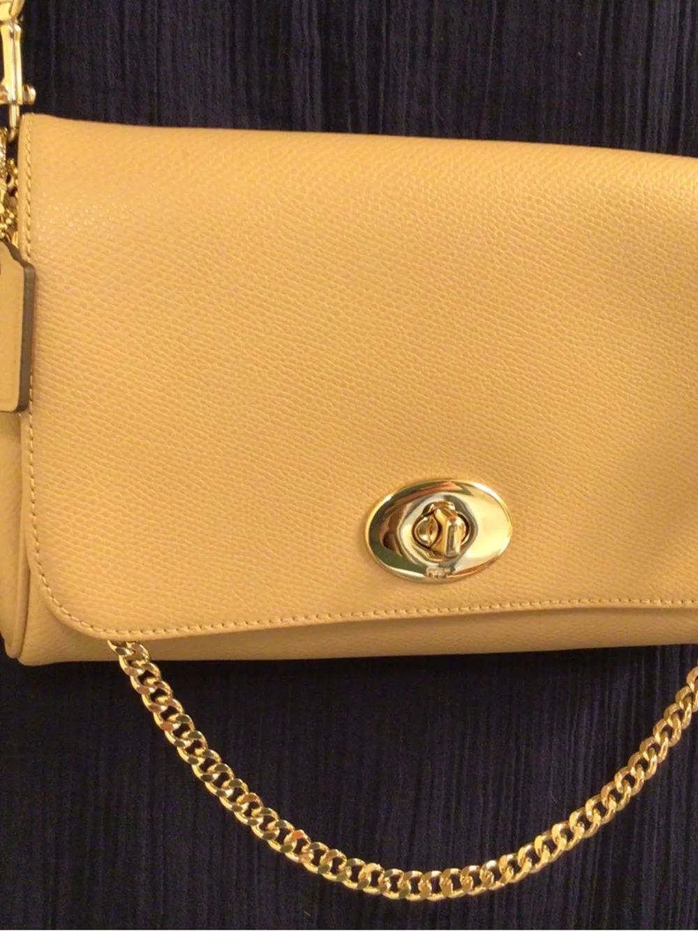 COACH / Beige Mini Ruby Leather Crossbody Bag with Gold Chain & Leather Strap - Picture 4 of 14